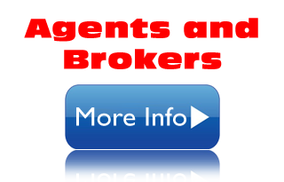 Real Estate Agent/Broker Information